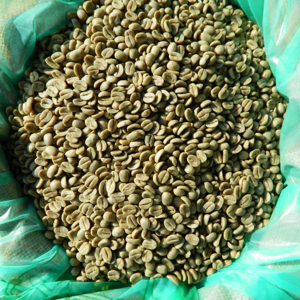 coffee bean 8.jpg