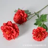 3 head geranium red