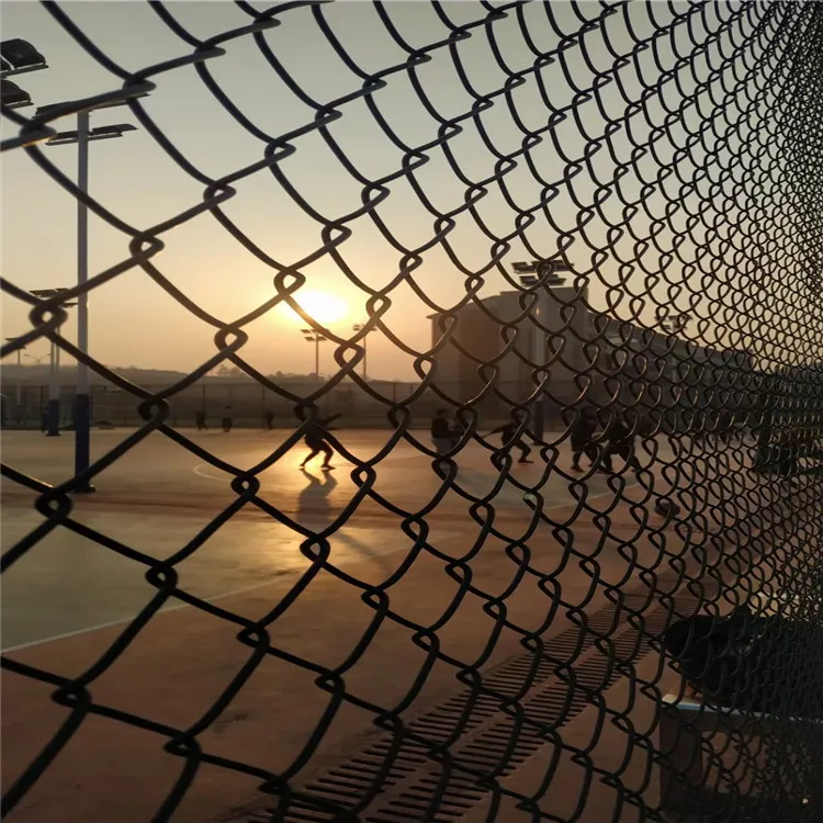 Pvc Coated Chain Link Iron Wire Mesh Fence Post / 6ft 7ft8ft Galvanized Diamond Mesh Wire Fencing Tortoise Fence