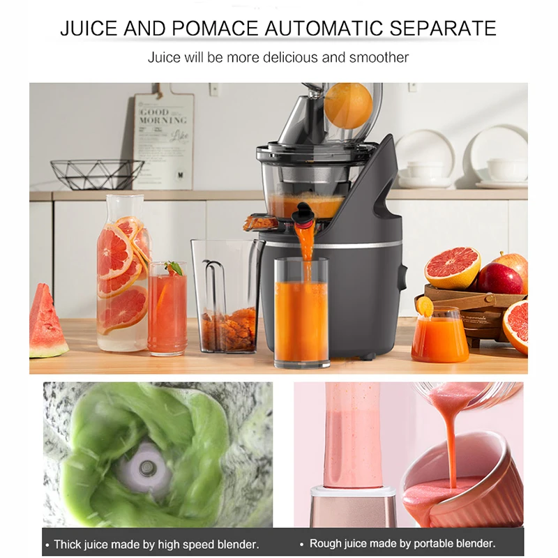 Easy Clean Cold Press Wide Chute 76 Mm Slow Masticating Juicer Ice