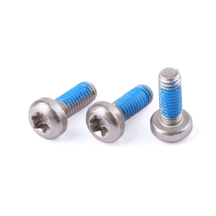 Factory fastener M2-M8 stainless steel 304 316 anti loosening nylon adhesive pan head torx screw GB2672