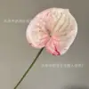 3D Little Red Palm