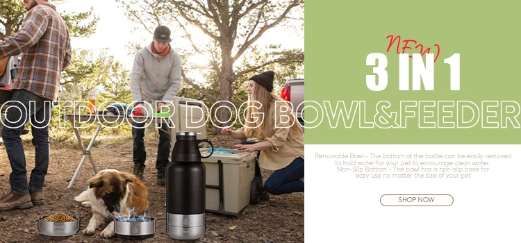 does dog bowl size matter