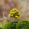 KT008-I 0.27