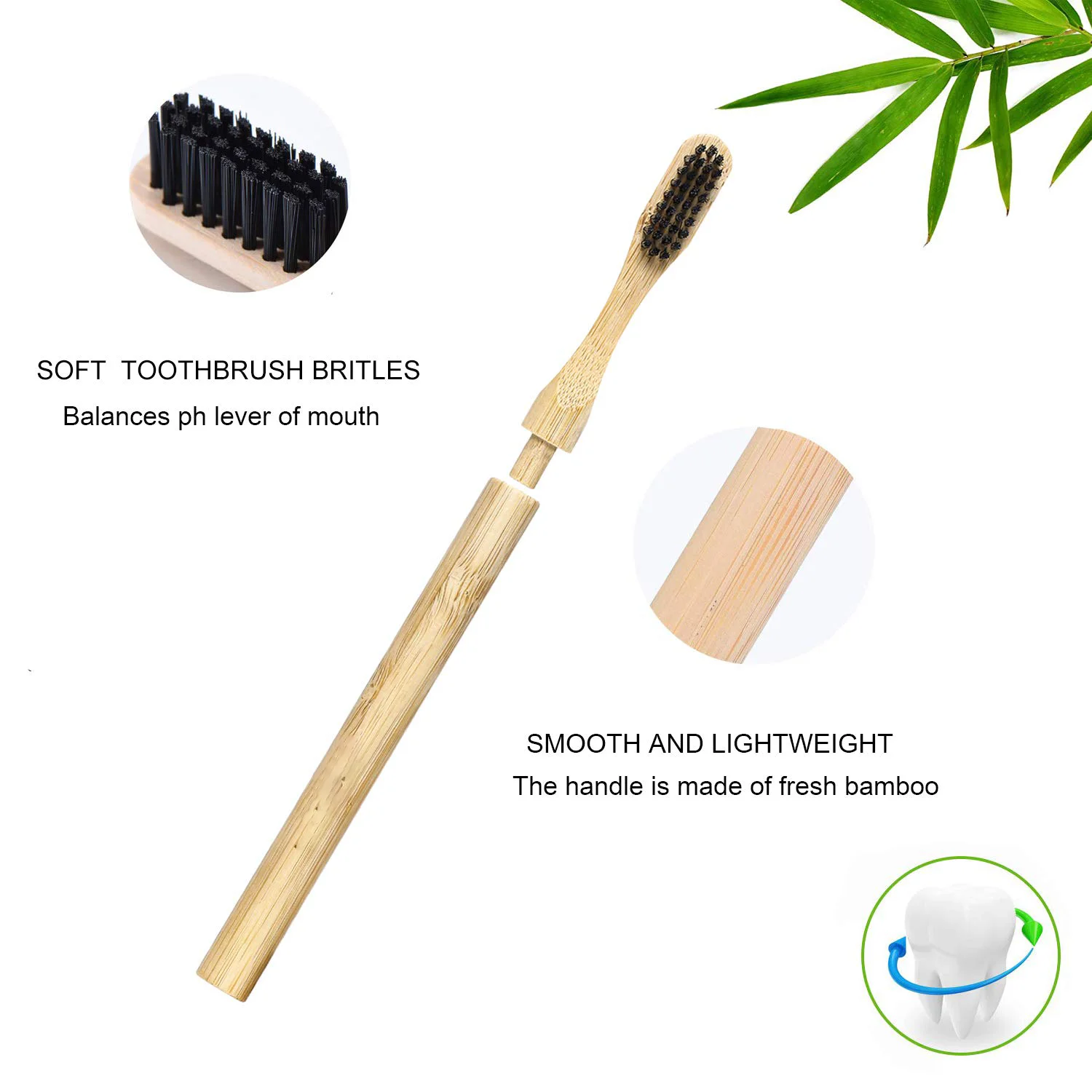 Sustainable Premium Toothbrush With Biodegradable Replacement Heads ...