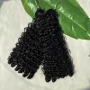 burmese curly