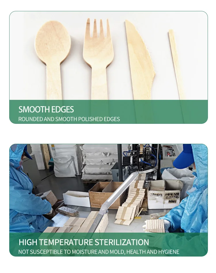 Display Box Includes Forks Spoon Knife Disposable Compostable 100