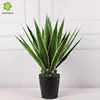 0.82M25 Leaf Agave (Yellow)