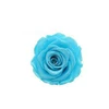 Tiff any Blue