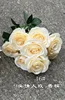 16#9 Head Lover Mei Champagne (prezzo speciale)