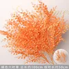 Branche de trèfle à six feuilles orange