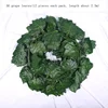 36 foglie di vite (12 pezzi per confezione, lunghezza 2,3 m)