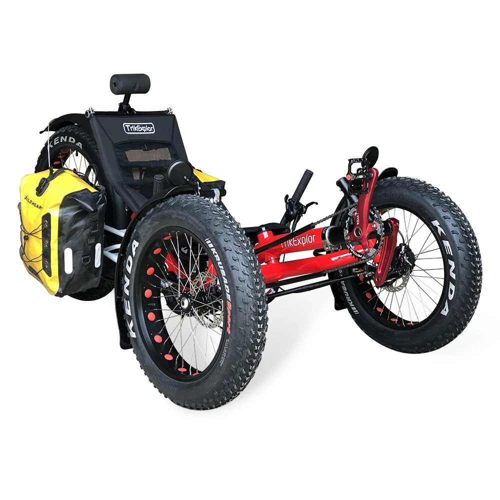 Customizable 500W Electric Fat Tire Tricycle for Adults ODM