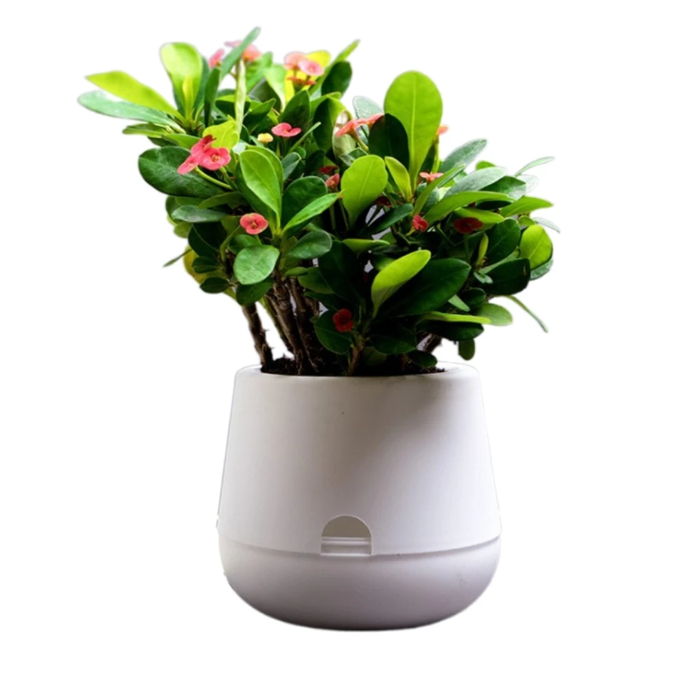 trendy fashionable european lovely flower pots gift office