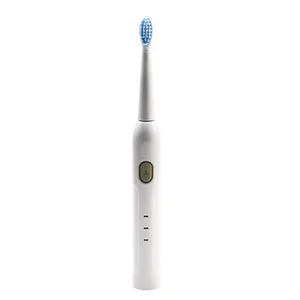 Wholesale Adult USB Rechargeable Electric Toothbrush with Replacement Heads for Daily Use