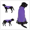 DZ213 Violet