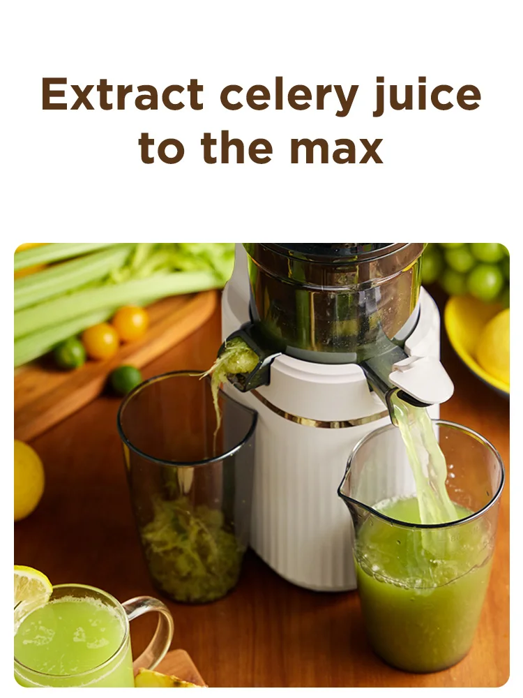 Personal Self Feeding Slow Masticating Juicer Extractor With Quiet Dc