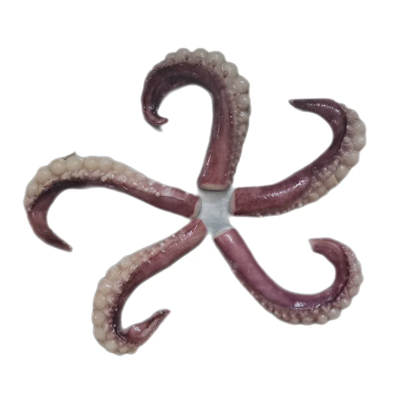 Embout De Calmar Geant En Bois De Santal 1 Piece Intelligent Naturel A Prix Superieur Buy Frozen Giant Squid Tentacle Pointe Nature Calamars Prix Poisson Congele Calmar Geant L Ocean Indien Tentacules De Calmar Meilleurs Fruits De Mer