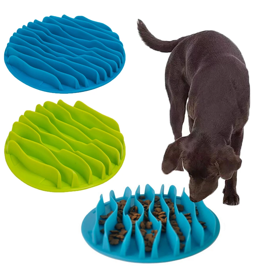 feeding maze for dogs