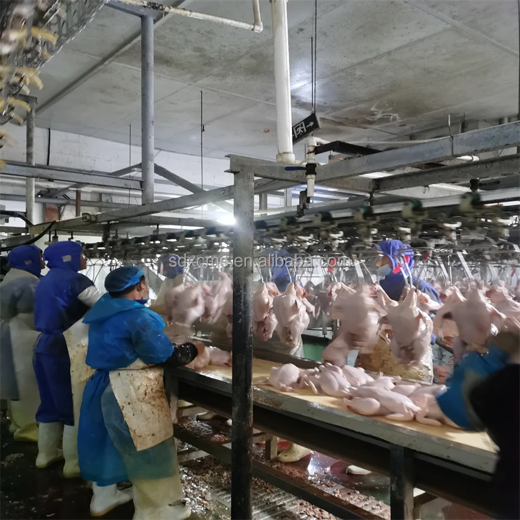 High Quality Automatic Chicken Duck Goose Processing Plant Poultry Slaughtering Equipment for Slaughterhouse
