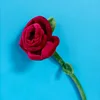 Rosa rossa