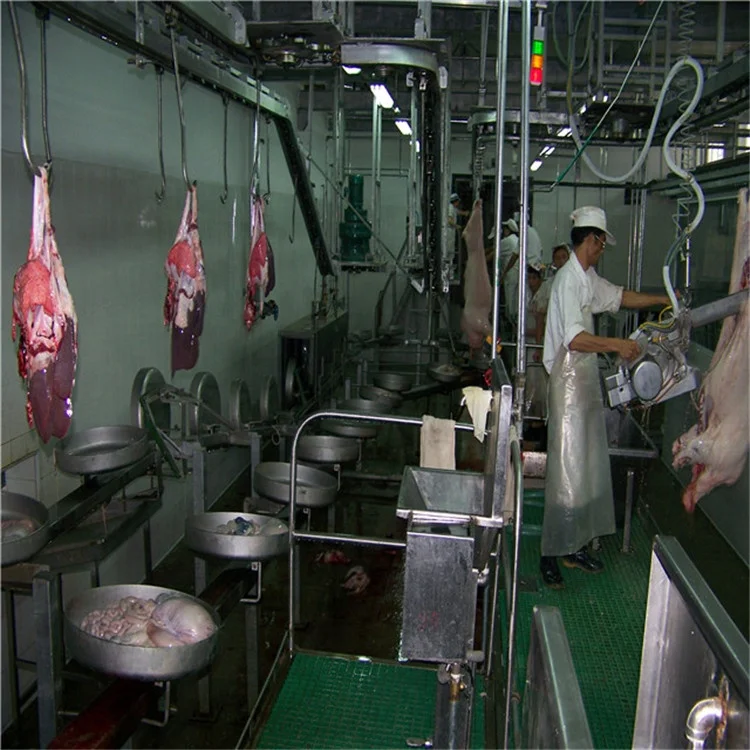 Fully automatic pig slaughtering line in slaughterhouse
