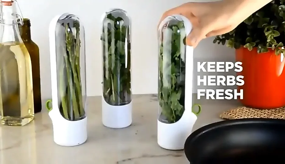 Herb Savor Storage Container Freshness Keeper Herbs Saver Transparent