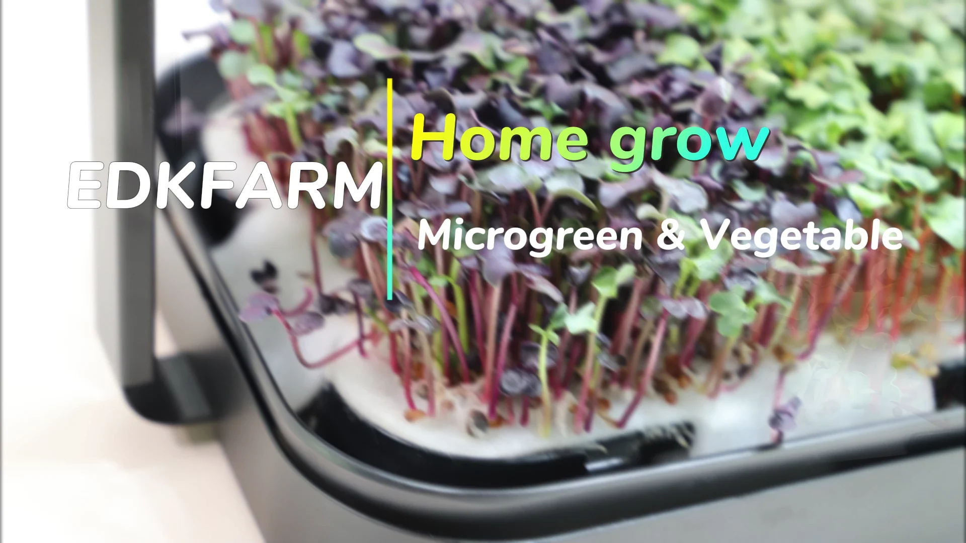 Mini Garden Full Spectrum Smart Growing Lamp Seed Grow Kit Vegetable