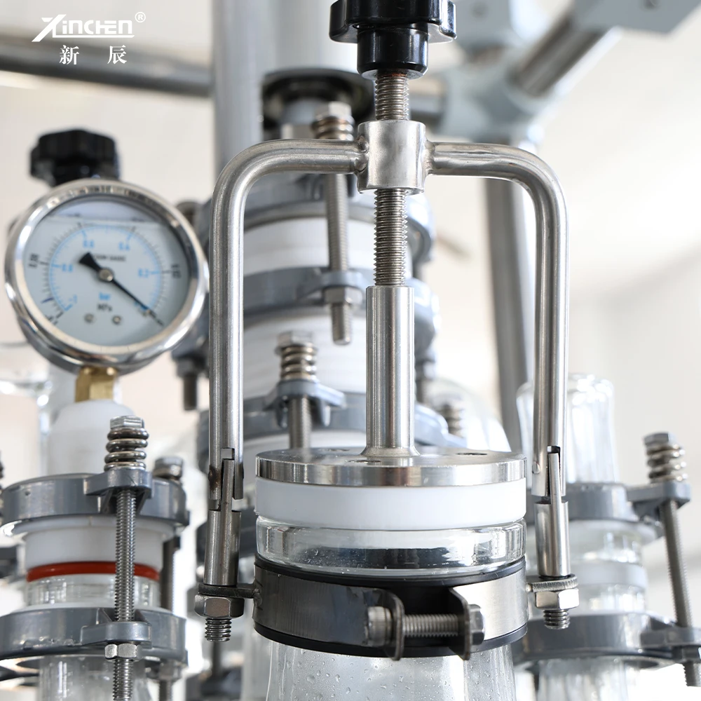 High-Low Reaction Vessel Series Reactor Borosilicate Glass 5l 10l for Lab Glass Reactor