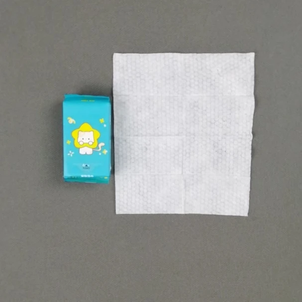OEM-Fabrik Mini-Portion umweltfreundliche Verpackung mit Logo bedruckt, 6 Stück Haustier-Feuchttücher für die Ganzkörperreinigung von Haustieren