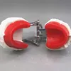 Canaux de cire rouge pour edentulie, plâtre et cadre occlusal