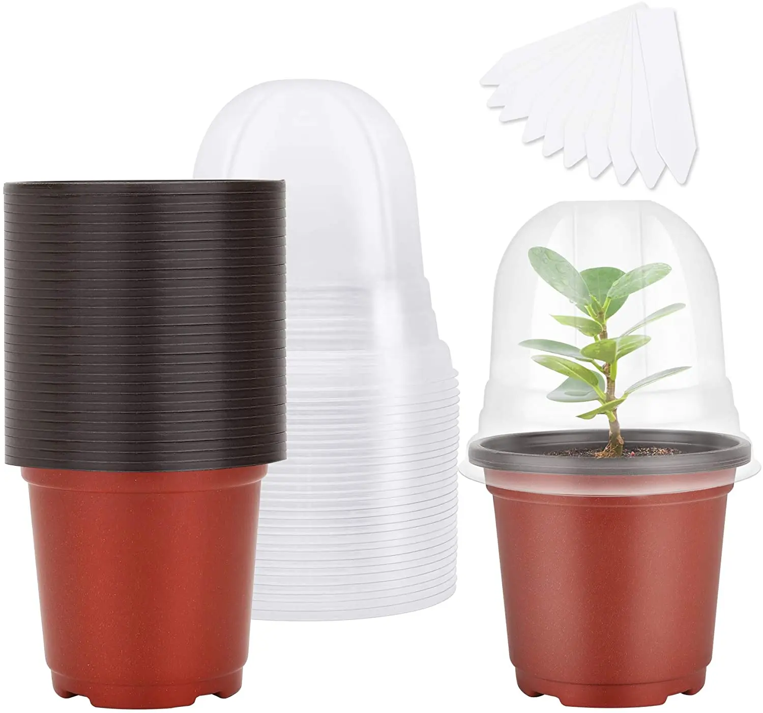 3 inch pots for succulents Sanrio My Melody 3