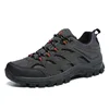 Z2-1 Dark Gray