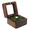 Moss