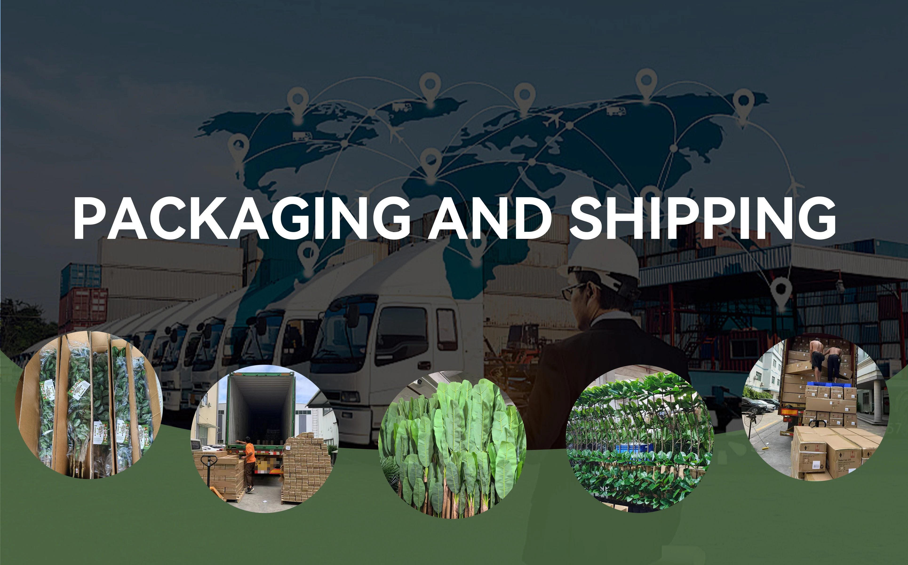 Packaging & shipping specifications