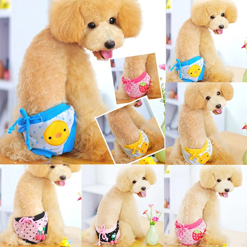 Pantalones Fisiológicos Con Estampado De Fresa Para Perros,Bragas  Sanitarias Para Perros Pequeños Y Medianos,Ropa Interior Para Perros,1  Unidad - Buy Pequeño Perro Oso De Peluche Ropa De Verano,De Verano Para  Mascotas Ropa