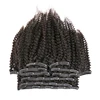 Afro bouclé