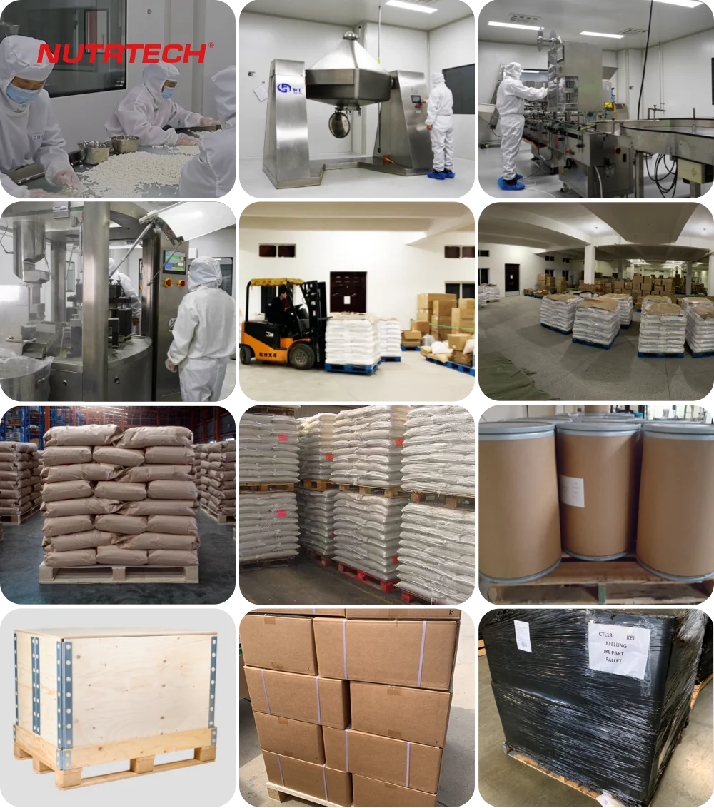 Lowest Price High Amylose Starch