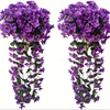 Viola