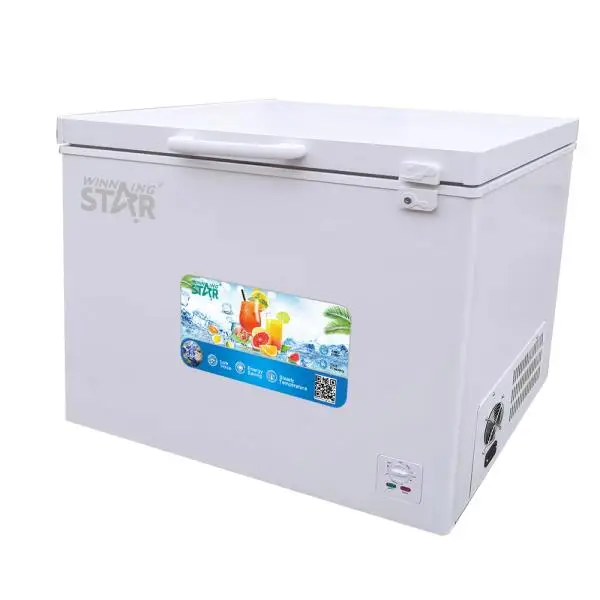 WINNING STAR Commercial Chest Deep Freezers ST-BD-258L Freezers 201L AC Refrigerators Deep Compression Freezer
