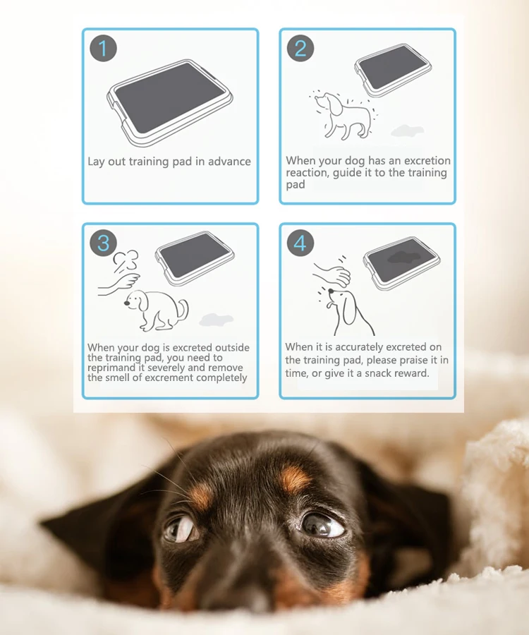 when should you remove puppy pads