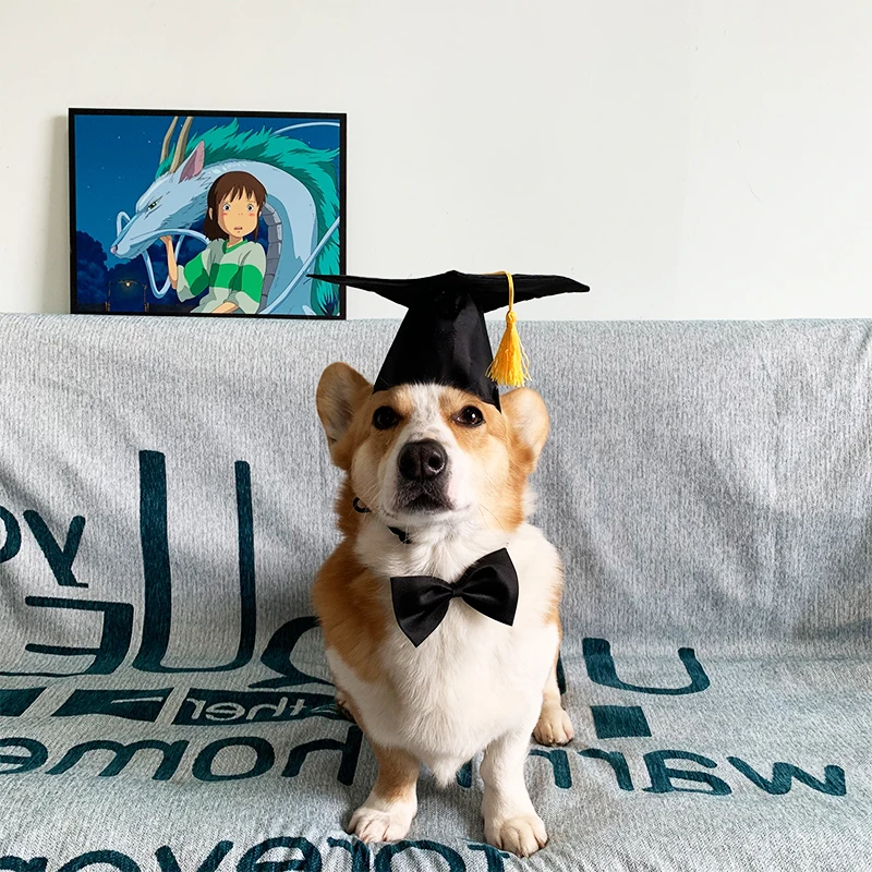 Handmade Pet Graduation Hats With Bow Tie Necktie Collar Dog Graduation