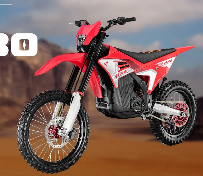 Arctic Leopard EXE 880 - Powerful Electric Bikes for off Road