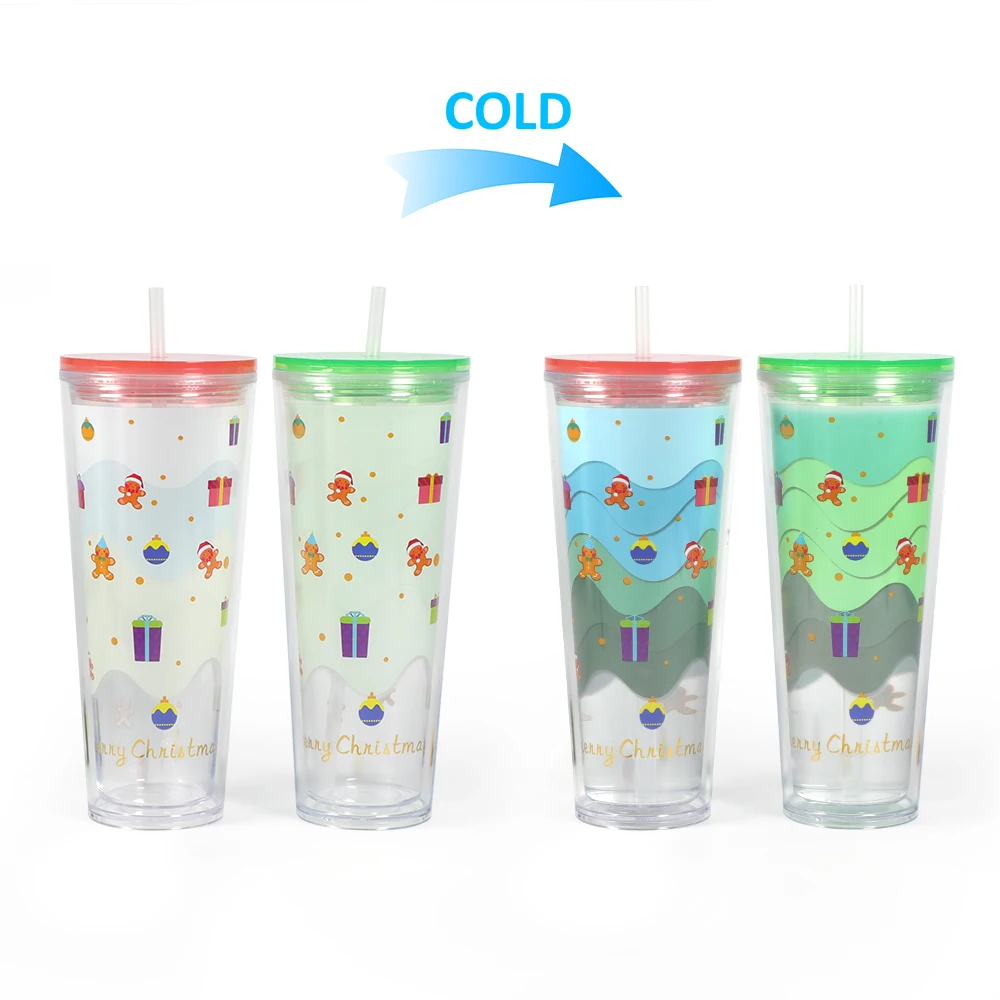 Personalized Travel Custom Logo 24 Oz Acrylic Double Wall Reusable