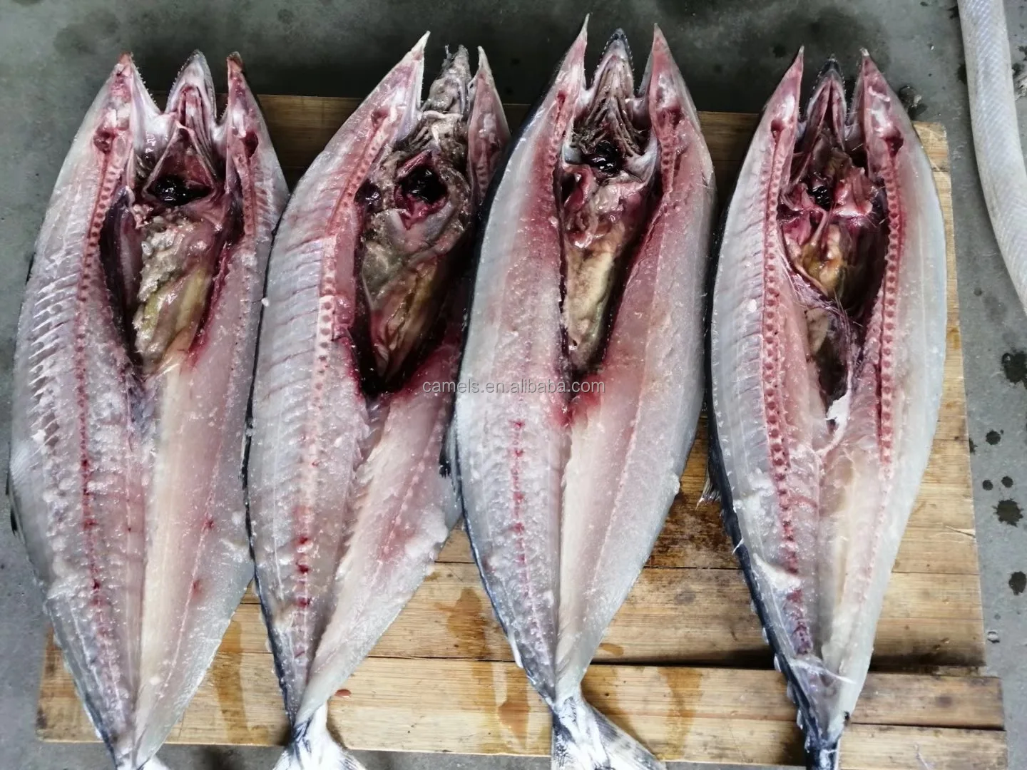 Fish Fillet Processing Machine Fish Cleaner Machine Fish Filet Machine