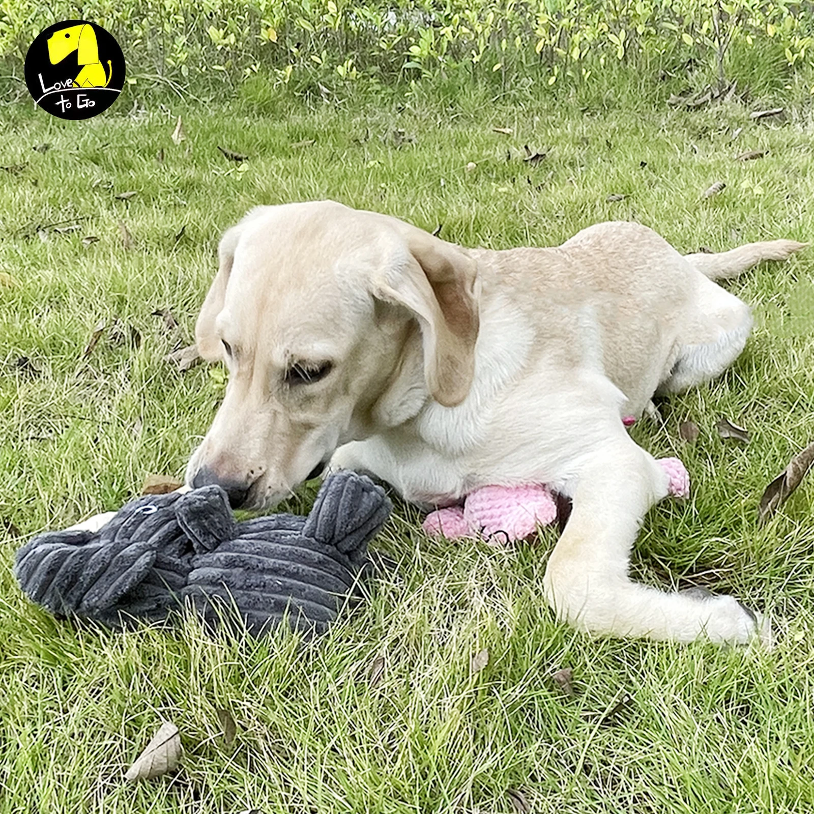 Elephant How To Wash Dog Toys With Squeakers Unstuffed Dog Chew - Main Image