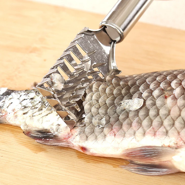 Escalador De Pescado, Removedor De Escalador De Pescado De Acero
