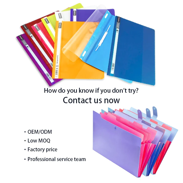 Customised Reusable School Decorative Transparent Custom Fastener A4 pp Plastic File Folder for Document