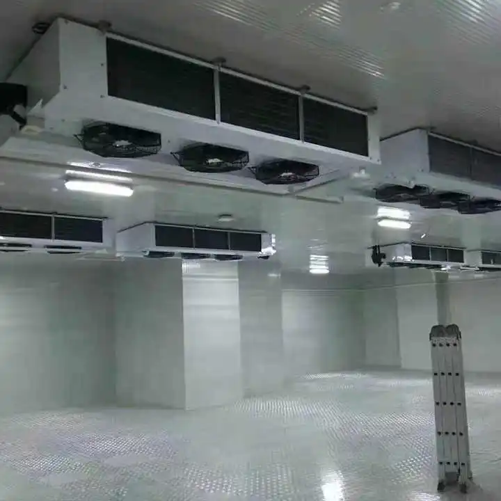 Large logistics cold room walking in refrigeration equipment cold room storage refrigeration condenser unit cold room price