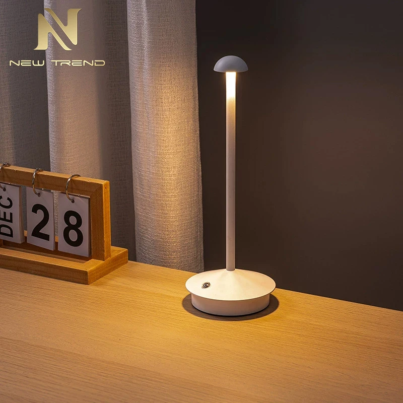 DXZP08 Simple Indoor Decoration Night Light Home Study Room 3000 4000 6000 K Dimming Modern LED Rechargeable Table Lamp